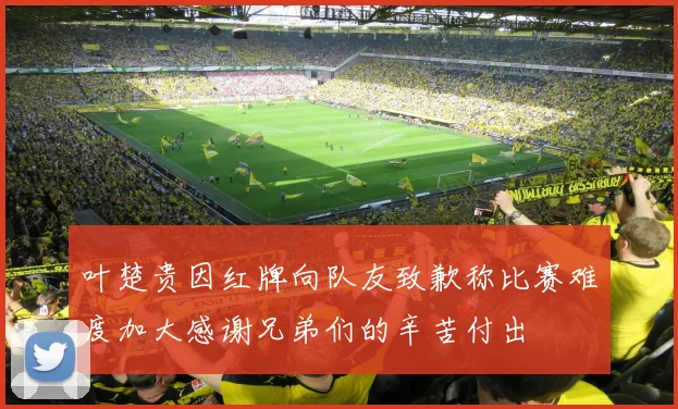 叶楚贵因红牌向队友致歉称比赛难度加大感谢兄弟们的辛苦付出